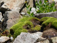 Korsika Les Calanche